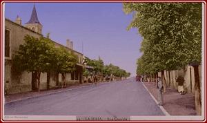 LA SENIA LA RUE CENTRALE